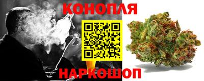 apvp Моздок
