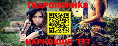 гидропоника Можга
