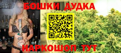 гидропоника Можга