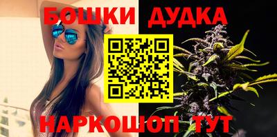 apvp Моздок