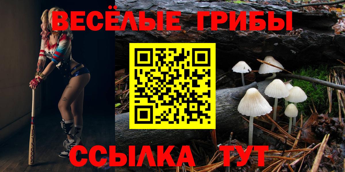 Рассказово  Псилоцибиновые грибы ЛСД  купить наркотики сайты  Вход с VPN 